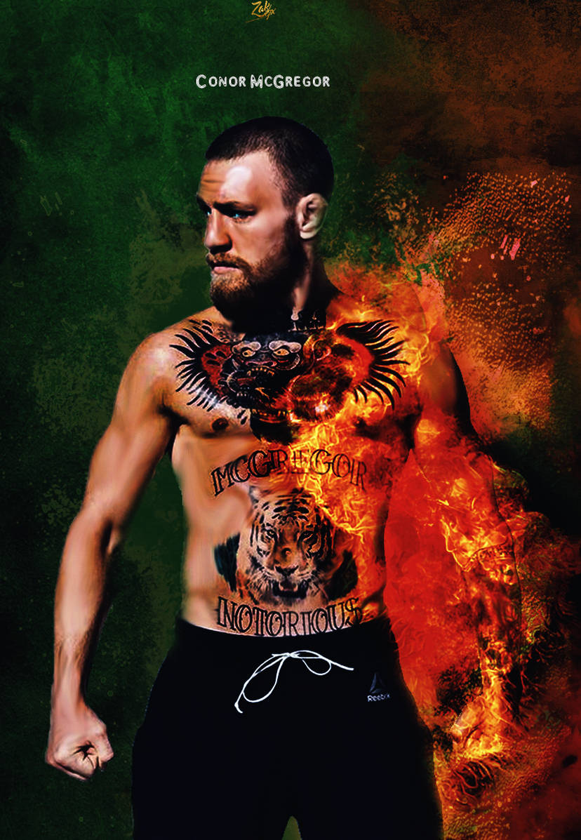 wallpaper Conor McGregor