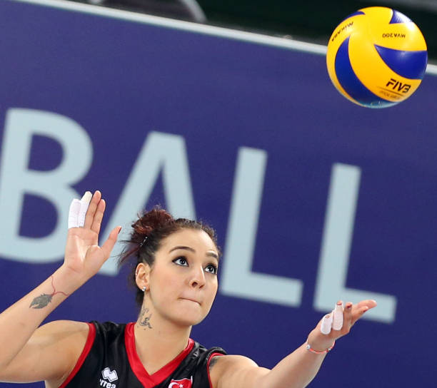 علایق بشرا جانسو علایق بشرا جانسو